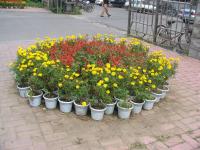 Albums/20060800-China Aug 2006/20060801-Shenyang/28